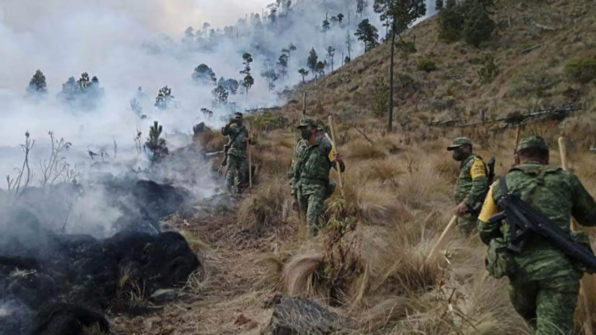 Incendio Forestal portada